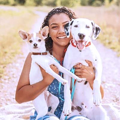 pet-sitting-in-miami-fl pet sitting in Miami FL