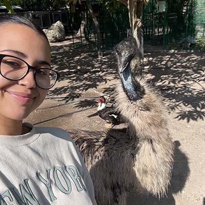 local pet sitter in Miami FL