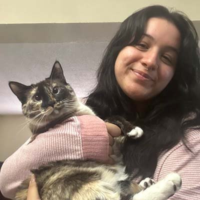 cat-sitter-in-miami-gardens-fl cat sitter in Miami Gardens FL